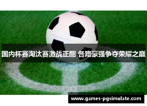 国内杯赛淘汰赛激战正酣 各路豪强争夺荣耀之巅